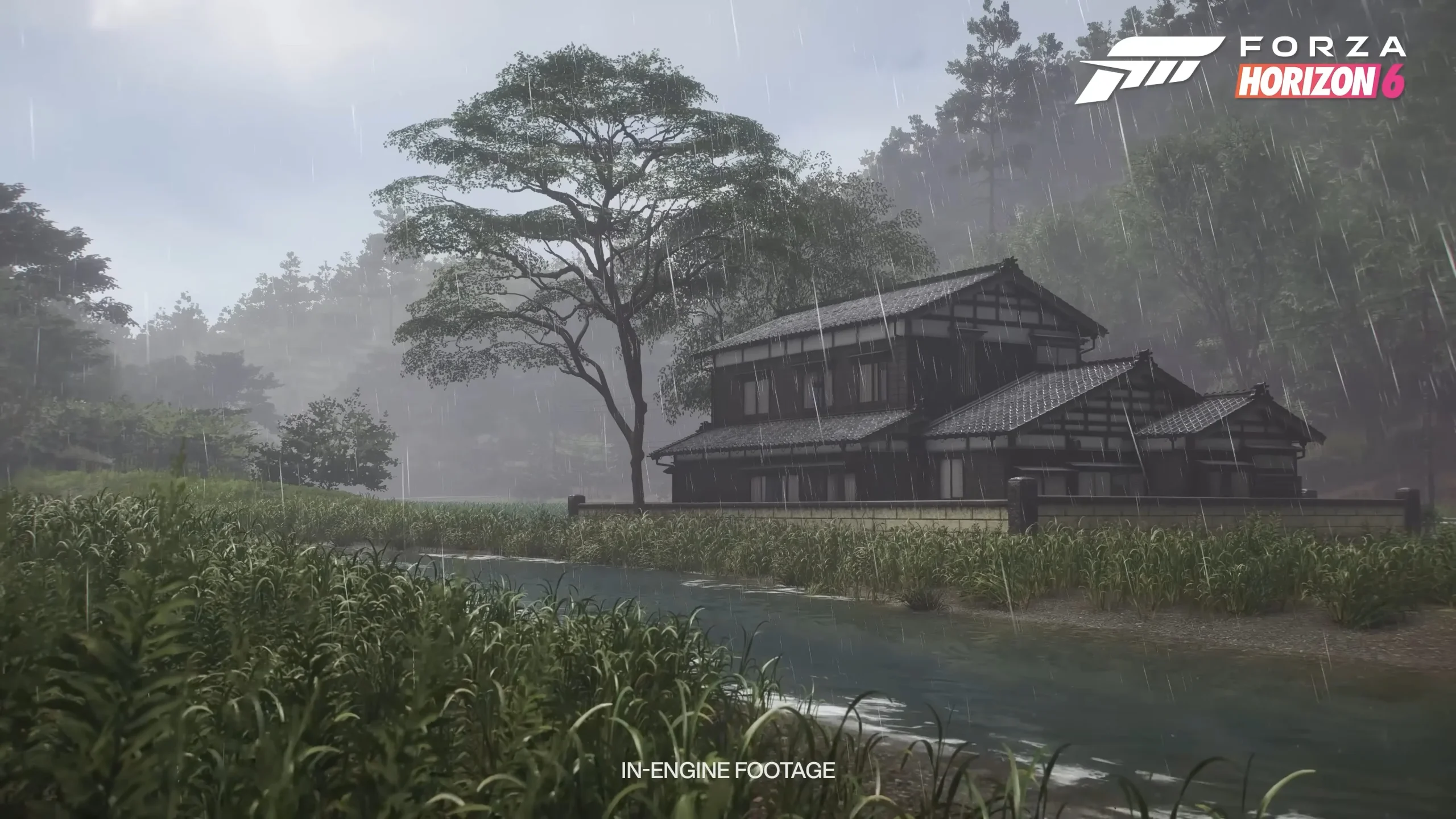 New Forza Horizon 6 ‘biomes showcase’ video highlights its detailed Japan landscapes