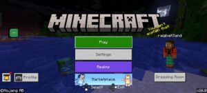I need help [bedrock] [help]