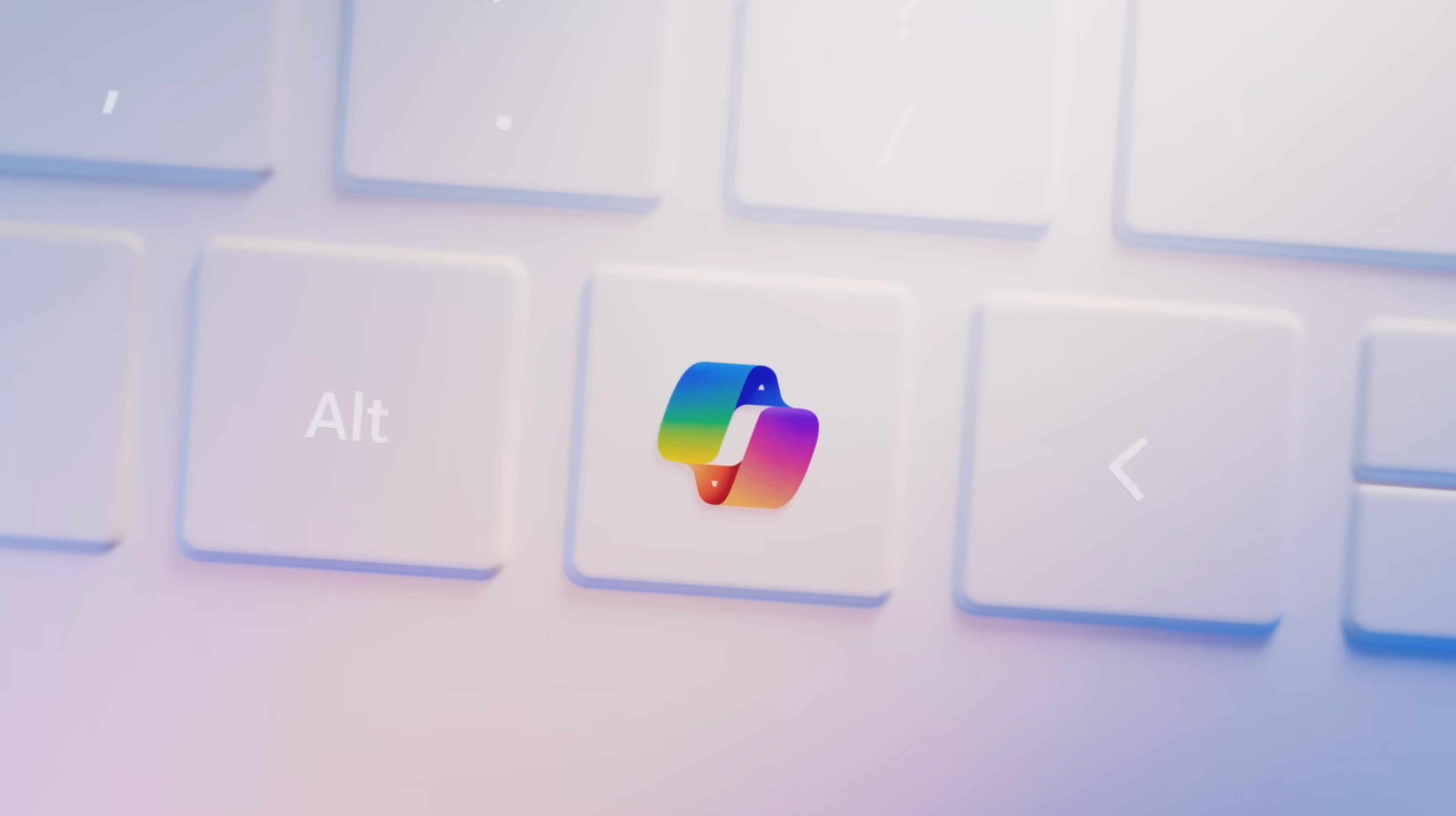 기사 관련 이미지