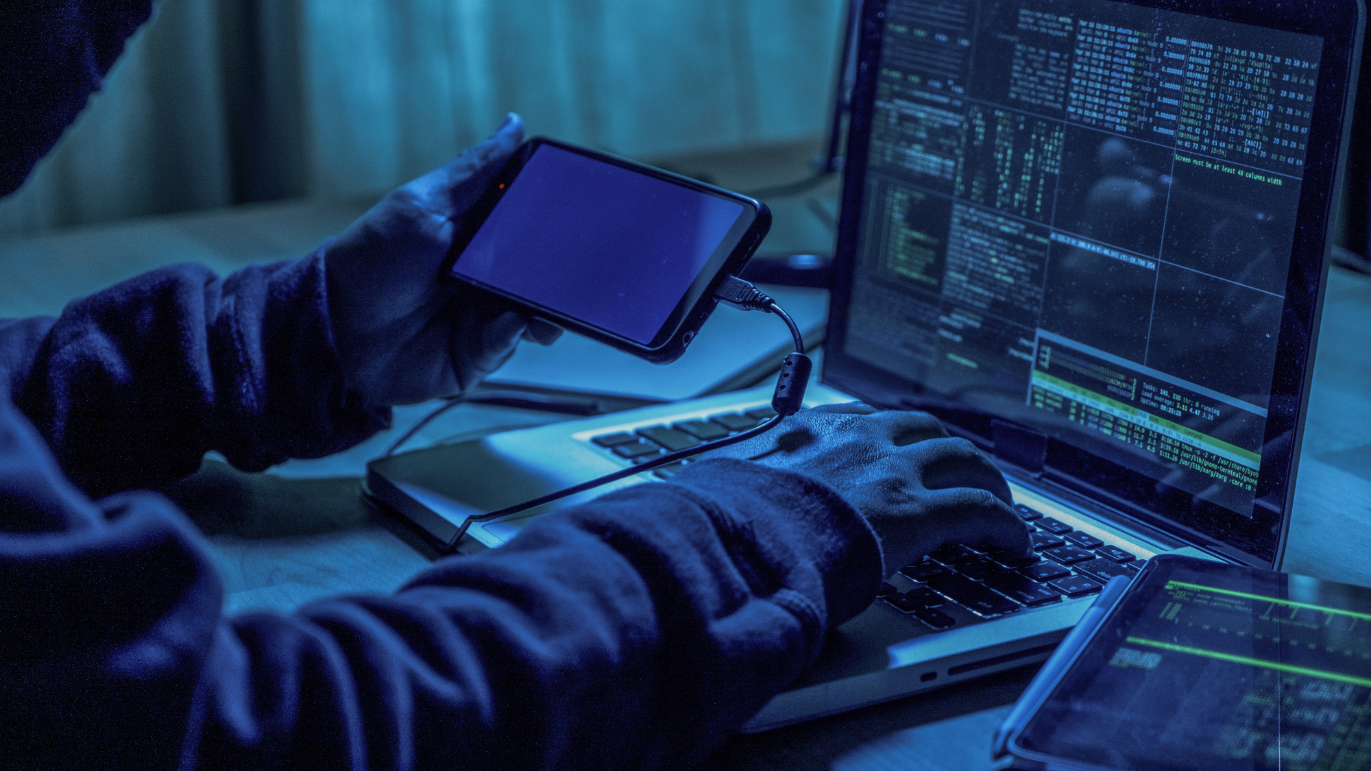 기사 관련 이미지