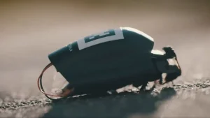 “Cutting-edge” AI-powered cockroaches have been created for next-gen military use