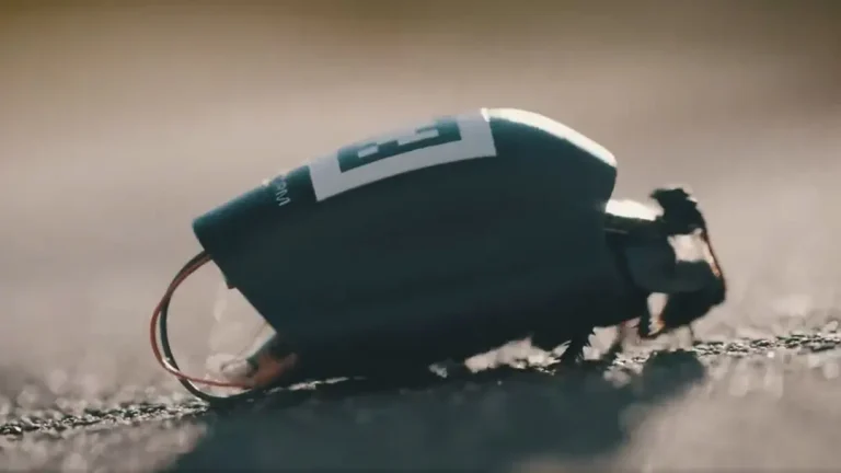 “Cutting-edge” AI-powered cockroaches have been created for next-gen military use