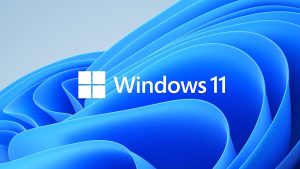 Windows 11 continues gaining traction, nears 75% market share — Windows 10 finally on the way out, some five months after Microsoft axes support