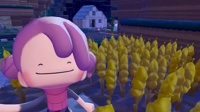 How to get wheat in Pokemon Pokopia