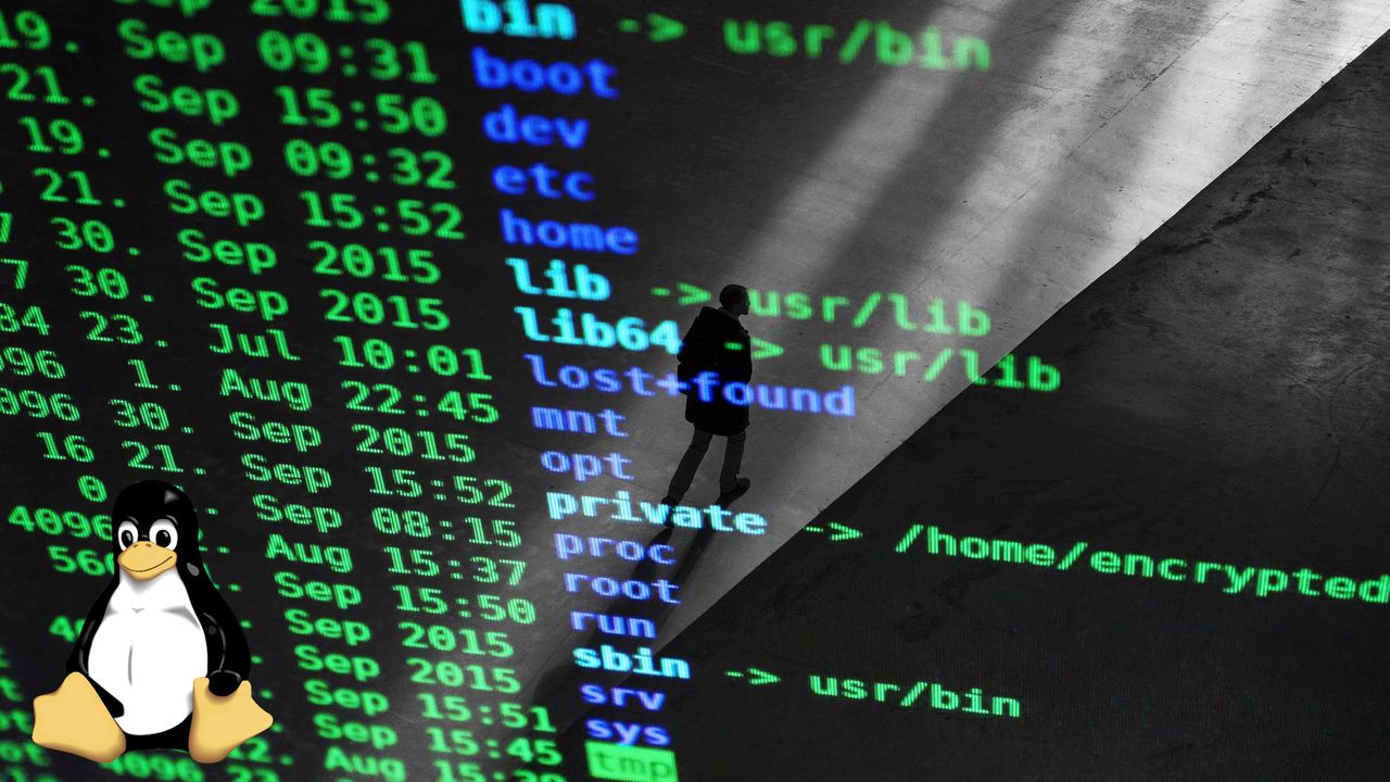 AMD VP uses AI to create Radeon Linux userland driver in Python — senior AI engineer says he "didn't open the editor once"