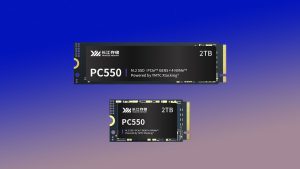 Chinese SSD maker YMTC lists first commercial PCIe 5.0 SSD as worldwide shortage intensifies — Xtacking 4.0 NAND powers speeds of up to 10,500 MB/s