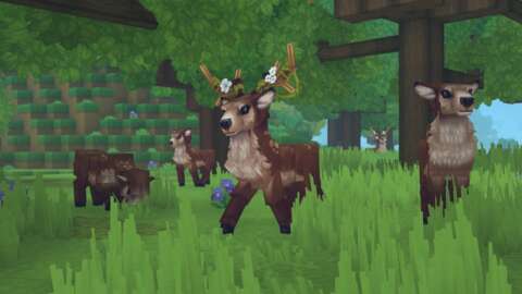 How To Tame All Animals In Hytale