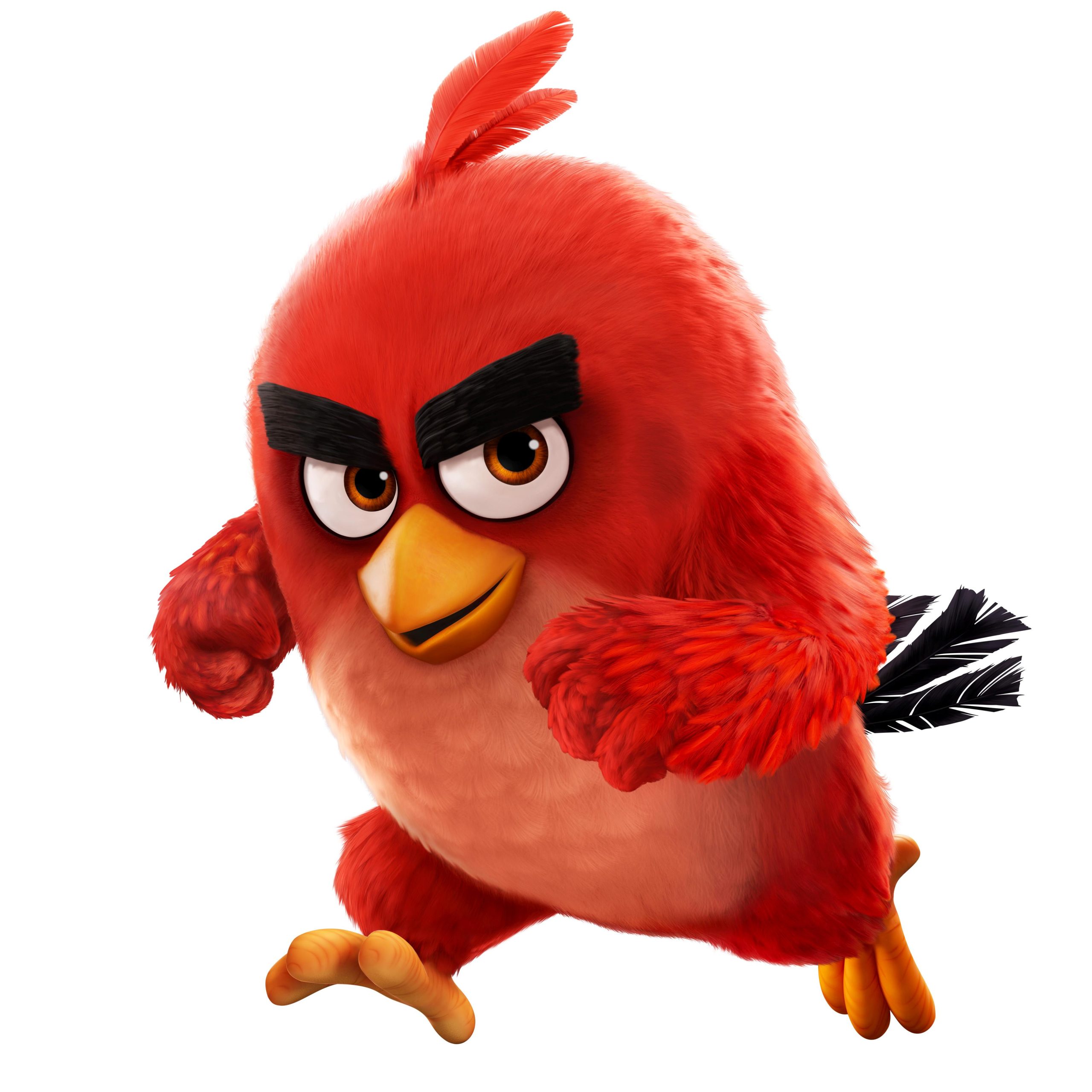 Angry Birds 레드 캐릭터 렌더링 이미지