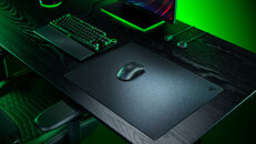 기사 관련 이미지