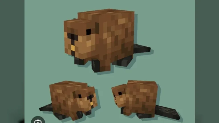 26.3 - Nature's Builders, Beavers!