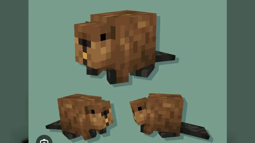 26.3 - Nature's Builders, Beavers!