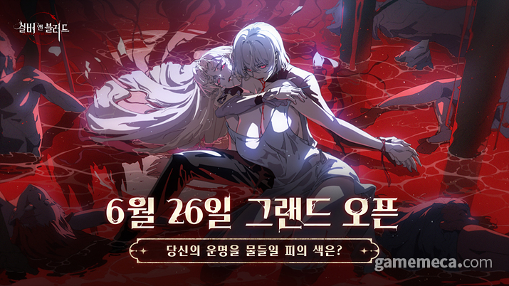 기사 관련 이미지