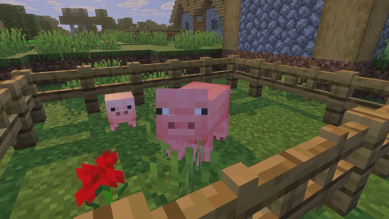 Adult pig and piglet standing in a fenced village pen beside a red flower.