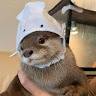 센텐서